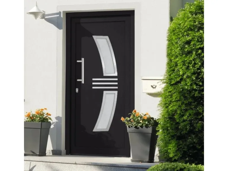 vidaXL Haustür Anthrazit 108x200 cm 3057573