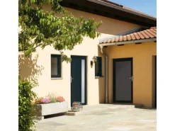 vidaXL Haustür Anthrazit 108x208 cm PVC 3157102