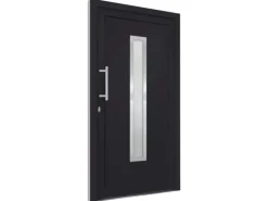 vidaXL Haustür Anthrazit 108x200 cm 279239