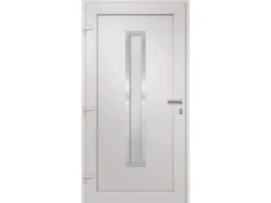 vidaXL Haustür Anthrazit 108x200 cm 279239