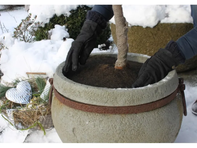 Videx Garden Kokos-Disc Dunkelbraun Ø 45 cm