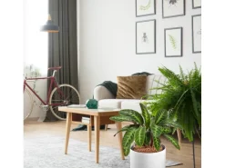 Westland Tongranulat Blähton 5 l