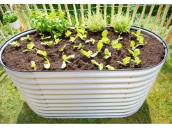 Westmann Hochbeet Oval Metall Silber 160 cm x 80 cm x 82 cm