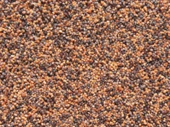 Zierkies Afrika 1 - 1,8 mm 5 kg