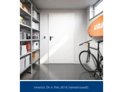 ZK-Tür-Element eingehängt Verzinkt 1000 mm x 2000 mm x 80 mm DIN Links